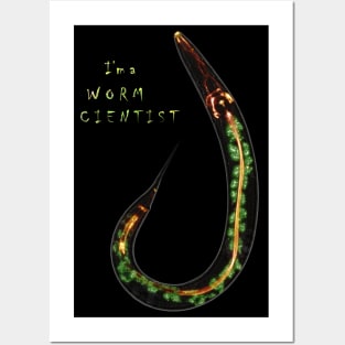 I'm a worm scientist Posters and Art